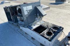 IMG-20200731-WA0250